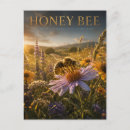 Suche nach honigbienen postkarten Für alle