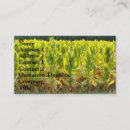 Suche nach tabak visitenkarten Rauchen