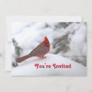 Suche nach snow einladungen Jede person