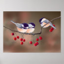 Suche nach rote beeren poster Baum