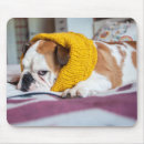 Suche nach englische bulldoggen mousepads Niedlich