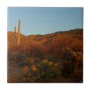 Suche nach saguaro fliesen Sonnenuntergang