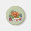 Suche nach vizsla magnete Hund