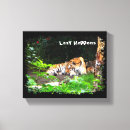 Suche nach altaica Panthera tigris altaica