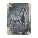 Suche nach pferd magnete Reiter