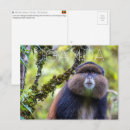 Suche nach uganda postkarten Wildtiere