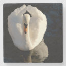 Suche nach schwan untersetzer Teich