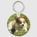 Suche nach papillon hund schlüsselanhänger Schmetterlingshund