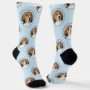 Suche nach englisch socken Hund