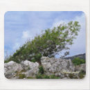 Suche nach ölmalerei mousepads Natur