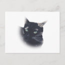 Suche nach katzengesicht postkarten Schwarz