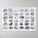 Suche nach w poster Von