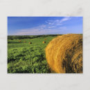 Suche nach north dakota postkarten Landschaftlich