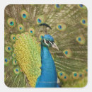 Suche nach stolz aufkleber Reise