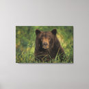 Suche nach säugetiere leinwandbilder Tragen