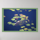 Suche nach seerosen poster Natur
