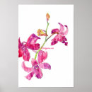 Suche nach rosa orchideen poster Blume