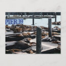 Suche nach seelöwen postkarten Jede person