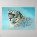 Suche nach schneeleoparden poster Natur