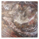 Suche nach versteinert fliesen Natur