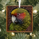 Suche nach wildvogel ornamente Tierwelt