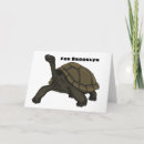 Suche nach ecuador karten Riesenschildkröte