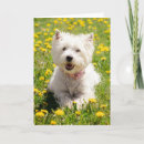 Suche nach lust karten Niedlich