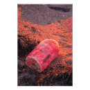 Suche nach bojen poster Küste