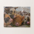 Suche nach ferkel puzzle Niedlich