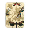 Suche nach blatt magnete Natur