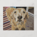 Suche nach loyalität postkarten Hunde