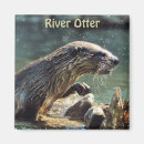 Suche nach otter magnete Wildtiere
