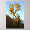 Suche nach baum blätter poster Natur