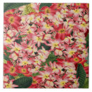 Suche nach frangipani fliesen Botanisch