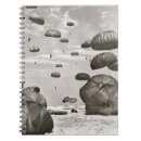 Suche nach flugzeug kleine notizbücher Himmel