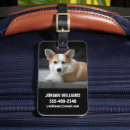 Suche nach corgi gepäckanhänger Haustier