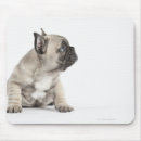 Suche nach zucht mousepads Unschuld
