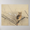 Suche nach eule im baum poster Blumen