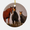 Suche nach arab ornamente Reiter