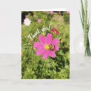 Suche nach cosmos karten Blume