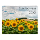 Suche nach sonnenblumen kalender Fotos