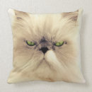 Suche nach persische katze kissen Natur