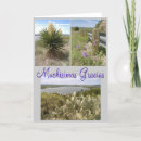 Suche nach yucca karten Kakteen