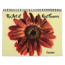 Suche nach rote blumen kalender Natur