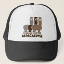 Suche nach apokalypse kappen Überlebender