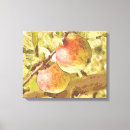 Suche nach apfelbaum leinwandbilder Apfelbäume