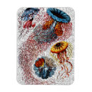 Suche nach seeanemone Tiere