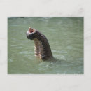 Suche nach lebendes wasser postkarten Horizontal