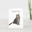 Suche nach graue katzen karten Tabelle