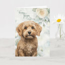 Suche nach cockapoo karten Hunde